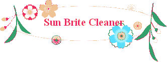 Sun Brite Cleaner